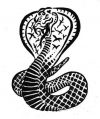 tribal snake tattoos